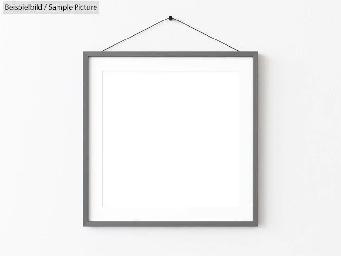 Framed sample picture on a white wall with a neutral gray gradient design.