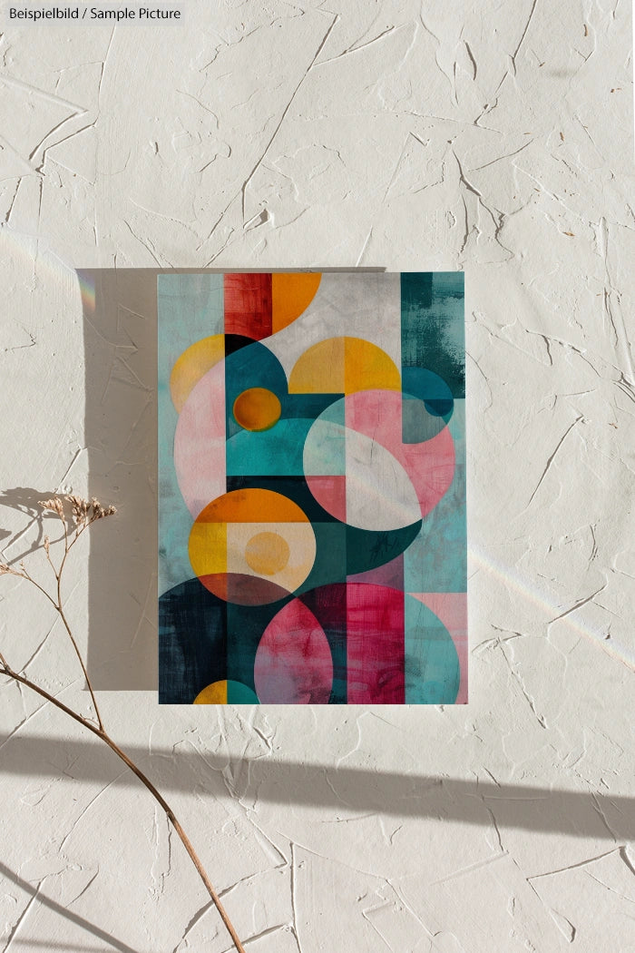 Colorful geometric composition with overlapping circles on textured wall, casting a shadow with dried plant nearby.