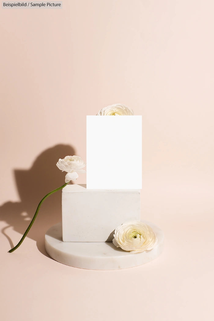 Minimalist composition with white flowers and geometric shapes on a neutral background.