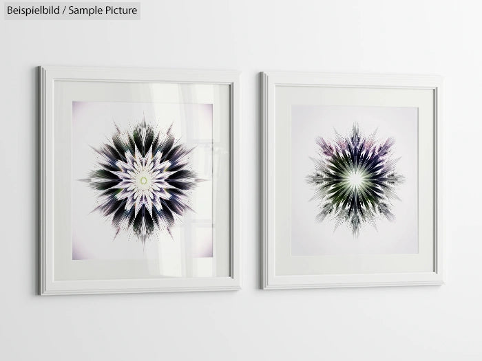 Two framed abstract flower artworks on a white wall, featuring intricate petal designs in grayscale.