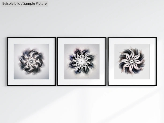 Three framed abstract black and white floral artworks on a white wall.